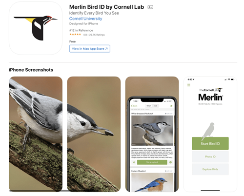 Merlin Bird ID by Cornell Lab