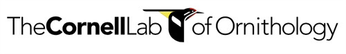 The Cornell Lab of Ornithology