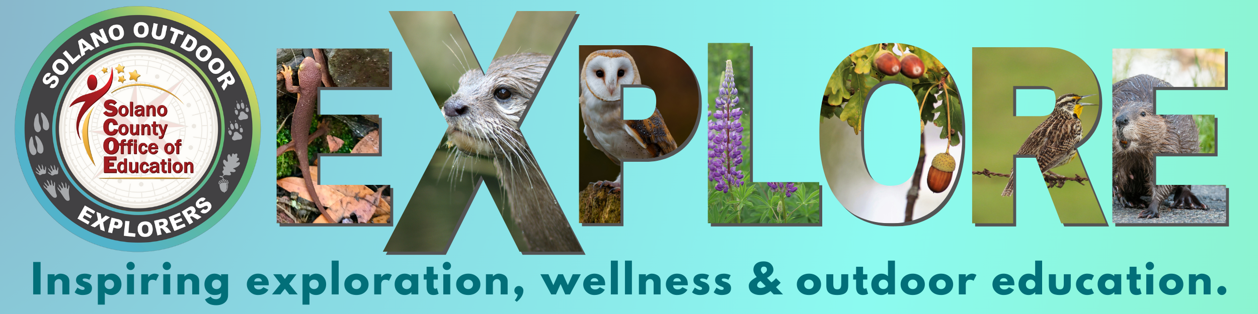 Solano Outdoor Explorers-  inspiring exploration, wellness and outdoor learning.